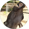Ellyn Shegstad Avatar