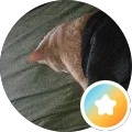 Carol Avatar