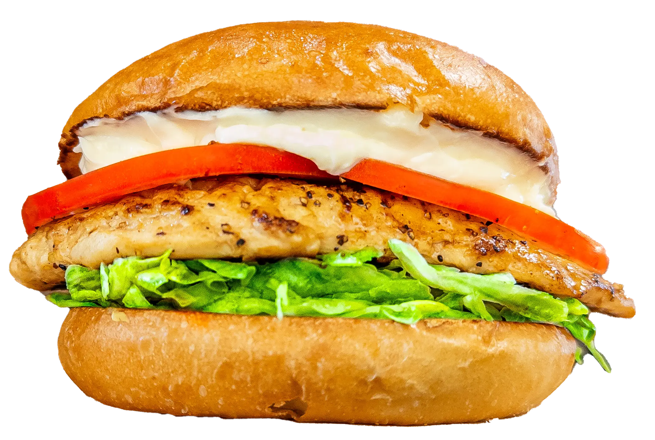Grilled Chicken Sandwich